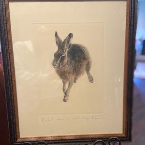 Two Original Engravings of Rabbits